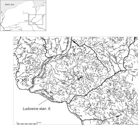 161 Ryc. 1. Lokalizacja stanowiska Ludowice 6 Fig. 1. Ludowice, site 6.