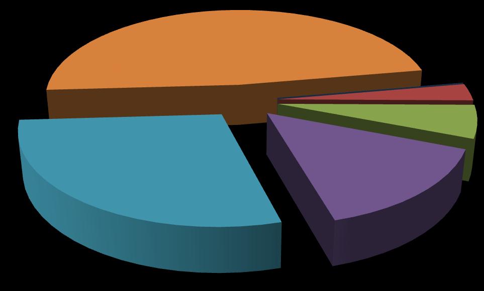 Wykres 6. Uczestnicy programów realizowanych w ramach środków rezerwy Ministra w 2013roku (w %). będących w szczególnej sytuacji na rynku pracy określonych w art.
