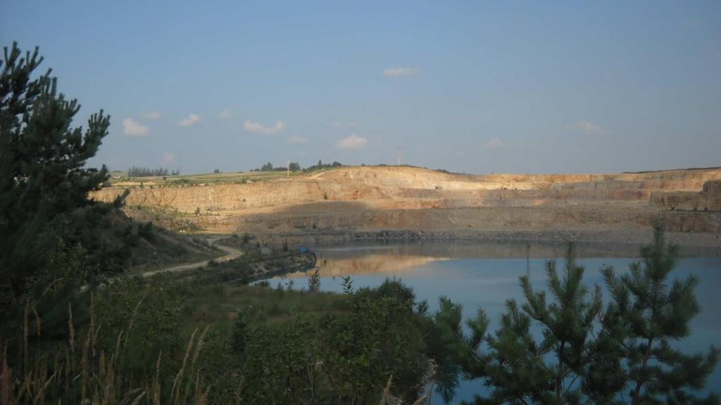 Złoże Brudzowice (region śląsko-krakowski) Dolomit triasowy o barwie kremowej wykorzystywany jest od wielu lat w przemyśle materiałów ogniotrwałych Dolomit