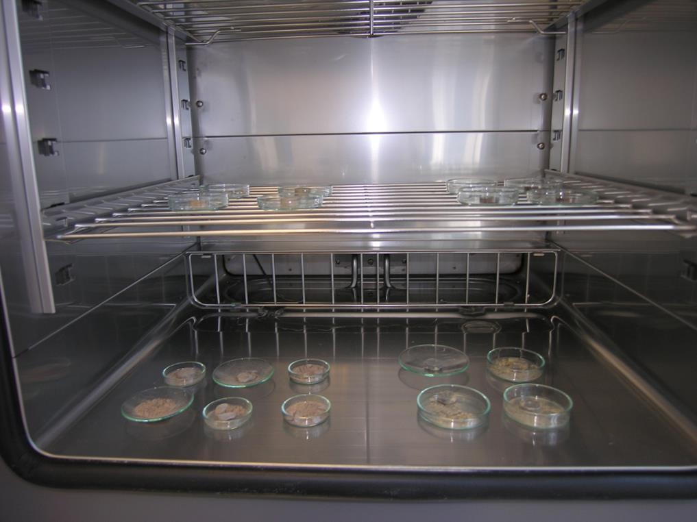 Badania odporności na hydratację spieczonych, uprzednio zagęszczonych próbek przeprowadzono w komorze klimatycznej w warunkach standardowych (temperatura i wilgotność