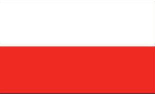 : +43 (0) 2913 / 8001 E-Mail: office@apv.at APV Polska ul.