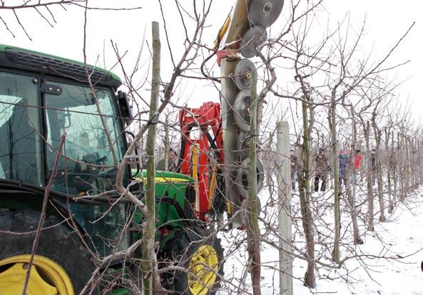 Fot. 7. Drzewa po cięciu mechanicznym i ręcznych poprawkach Fot. 8. Cięcie mechaniczne drzew wykonuje się przy prędkości około 6 km/godz. fot. 1, 2, 5 8 T. Werner 40 50 godz.