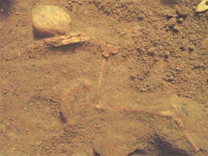 Rysunek 2 Zarys murów kamienno-ceglanych odsłonietych pod podłogą