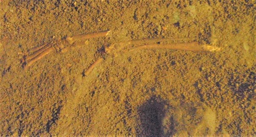 Foto. 17 Fragment