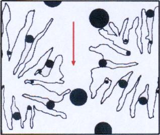 WYZNACZANIE ZAKRESU WYKLUCZANIA DLA WYPEŁNIEŃ STOSOWANYCH W WYSOKOSPRAWNEJ CHROMATOGRAFII WYKLUCZANIA (HPSEC) 1.