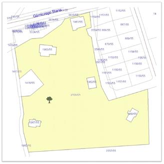 Drzewo nr 20 - działka nr 3558/55 (GPS nr 20: