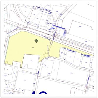 Drzewo nr 12 - działka nr 3/45 (GPS nr 12: N50263436