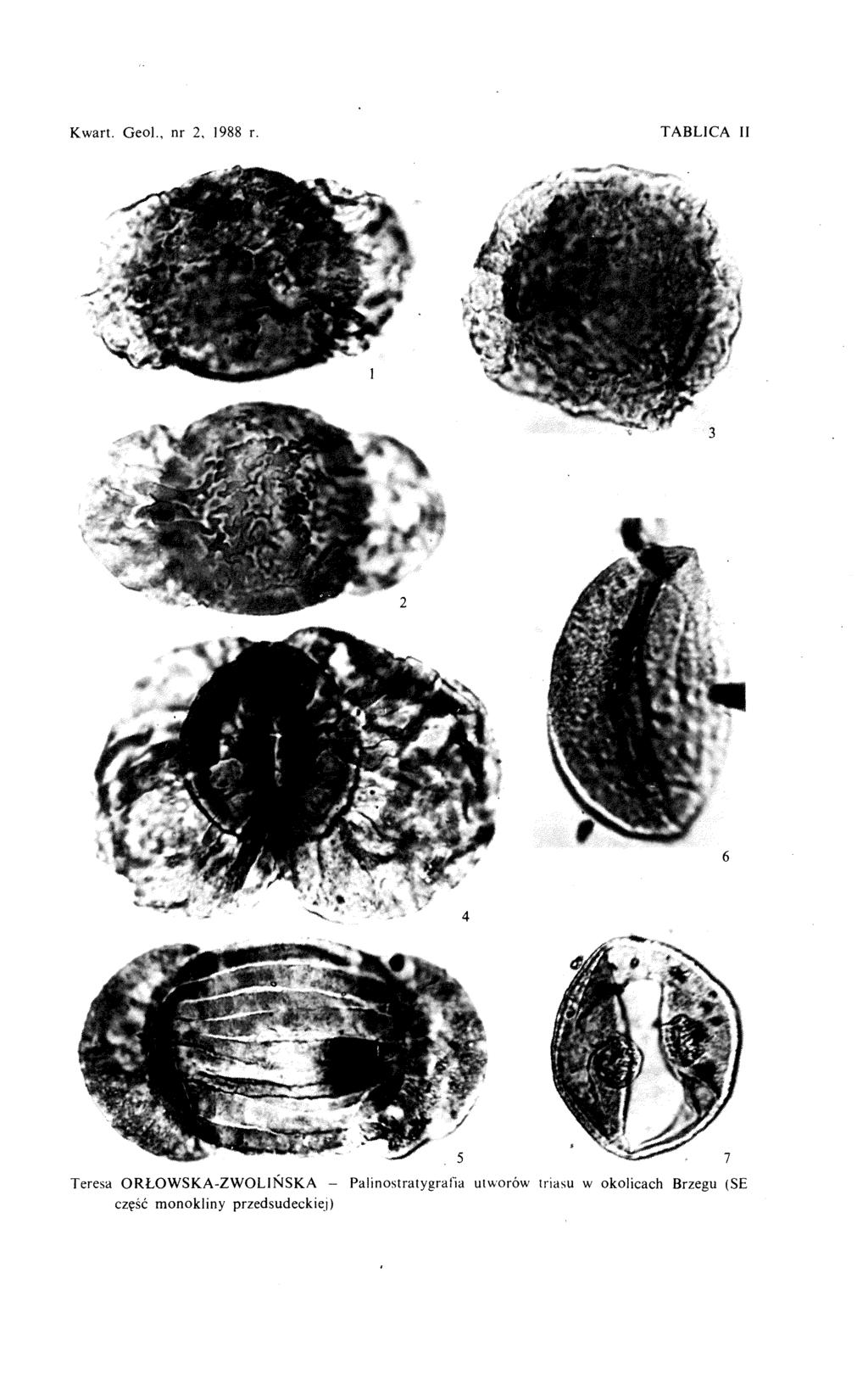 Kwart. Geol., nr 2, 1988 r.