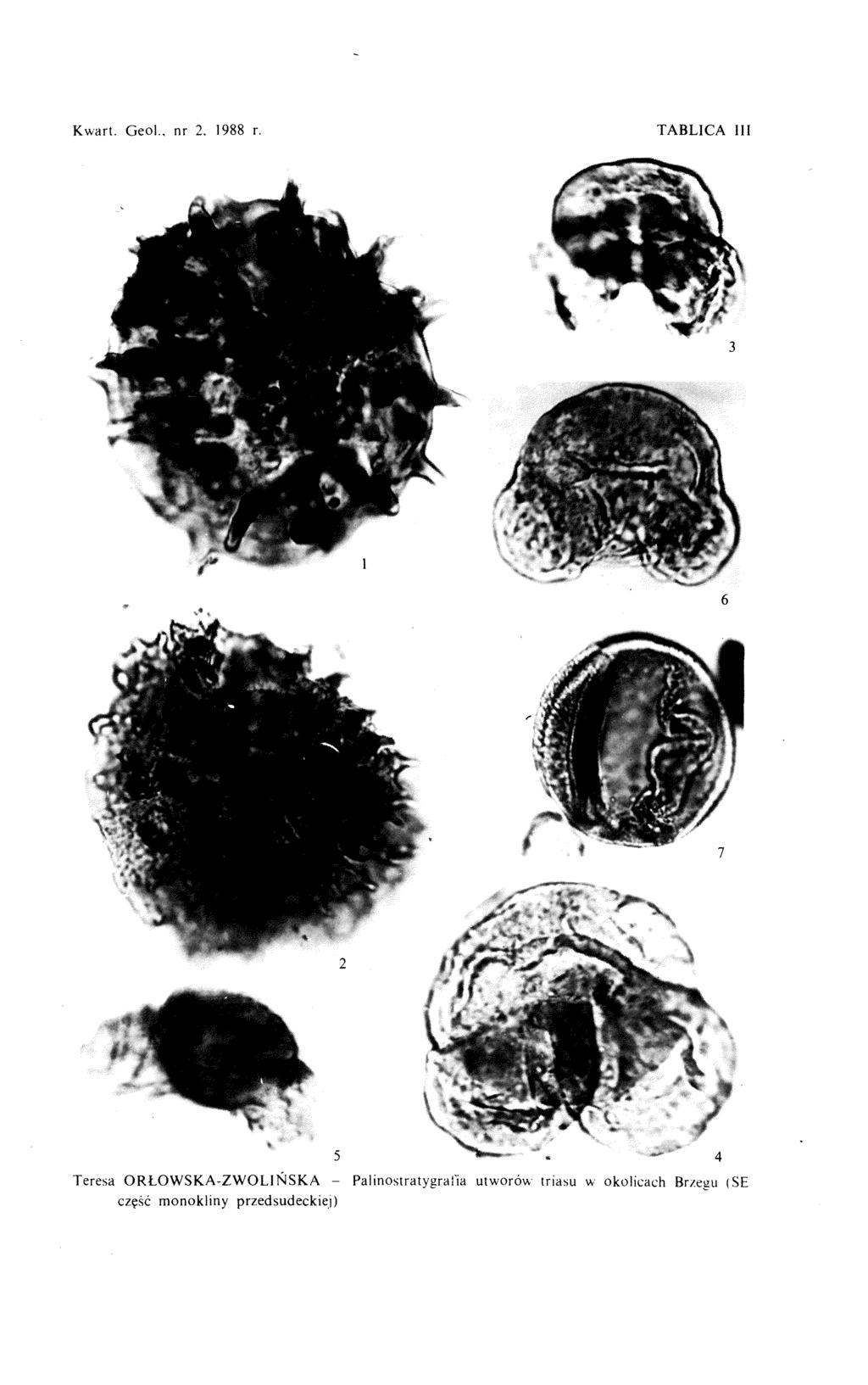 Kwart. Geol., nr 2, 1988 r.