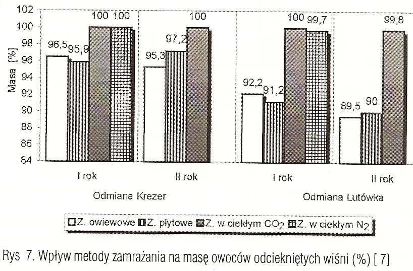 Na rysunkach 7 przedstawiono wpływ metody zamraŝania owoców wiśni na masę odciekniętych wiśni.