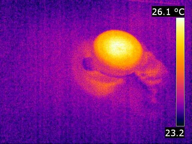 9. Wynik 15-minutowego nagrzewania miny PMN zakopanej 5 cm pod powierzchnią piasku: a) zdjęcie termowizyjne powierzchni piasku zrobione tuŝ po zakończeniu nagrzewania