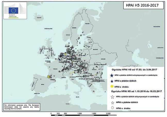 Highly pathogenic avian influenza H5 subtype in Europe and Poland in years 2016/2017 current situation, control measures, risk assessment Śmietanka K., Niemczuk K., Świętoń E., Niemczuk P.