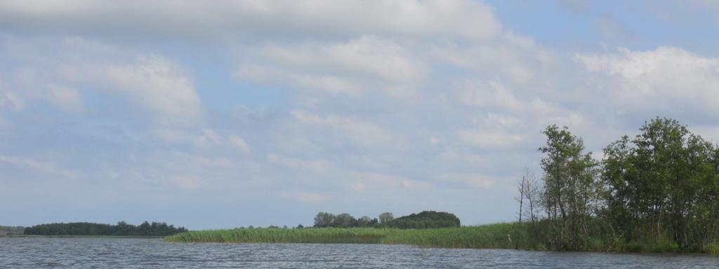 północnej tworzy Zatokę Wrzosowską. Do Zalewu wlewają się od południa wody Wołecznicy, a od wschodu, do Zatoki Karpinki, wody Świńca i Niemicy.