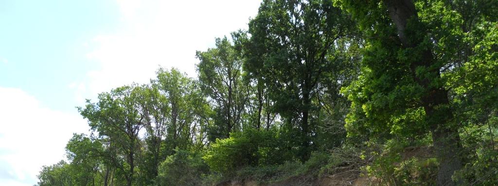 Siedliska klifowe znajdują się na terenie ostoi ptasiej PLB320009 oraz ostoi siedliskowej PLH320018.