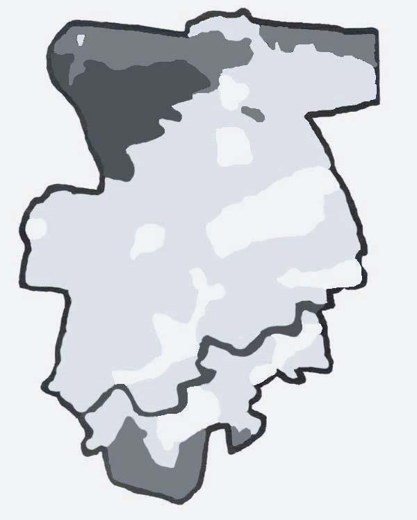 4 B. Fornal-Pieniak, Cz. Wysocki zowo-przestrzenne D).