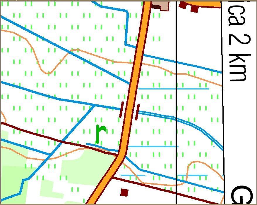 Redukcja do punktu obiektów powierzchniowych i liniowych (budynki, posesje, cmentarze, stacje kolejowe i inne obiekty klasy pokrycia terenu, mosty) automatyczna, Redukcja liczby znaków,