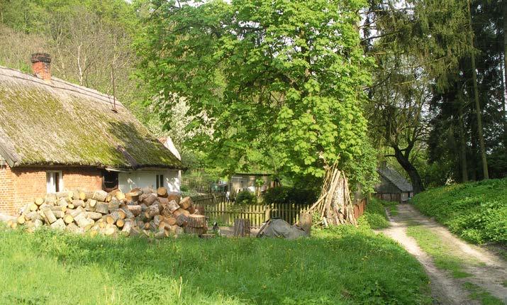 Obecnie Widlice to teren leśny z rezerwatem florystycznym, a pas nadwiślański obejmuje program ochrony obszarów przyrodniczych Natura 2000.