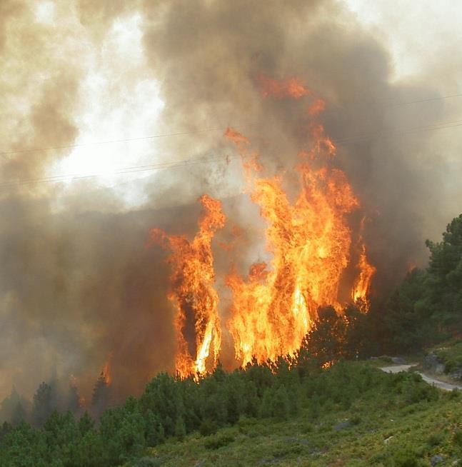 Założenia nowej metody możliwośd ustalenia aktualnego zagrożenia pożarowego lasu, umożliwienie ograniczenia kosztów ochrony p-poż,