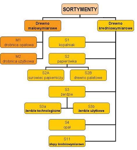 Rysunek 1. Podział sortymentów przeznaczonych na cele energetyczne [http://www.warszawa.lasy.gov.