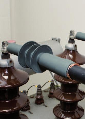 Głowice wnętrzowe w technologii nasuwanej, do kabli jednożyłowych o ekranowanej izolacji z tworzyw sztucznych, na napięcie 10, 15, 20 i 30 kv D L Kable Głowice są używane do kabli 1-żyłowych o