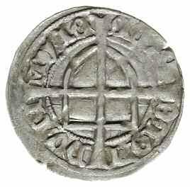 egzemplarz II 3.
