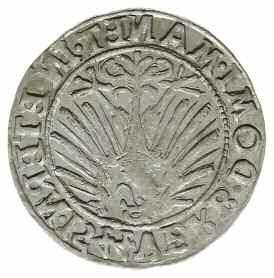 legnicko-brzesko-wołowskie Fryderyk II 1505-1547
