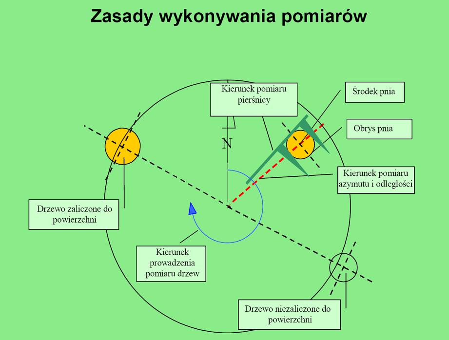 Na powierzchniach próbnych mierzy się: pierśnice wszystkich drzew żywych wysokości