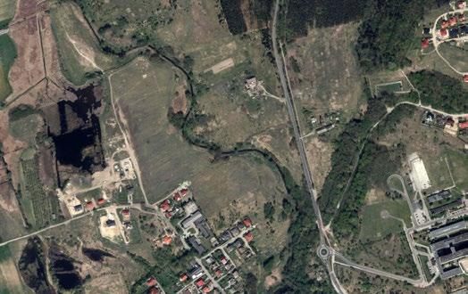 5. W projekcie dominują gatunki rodzime - naturalne dla