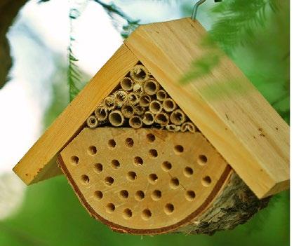 urbanistycznych i infrastruktury technicznej. W strefach naturalnych zastosowano gatunki rodzime.