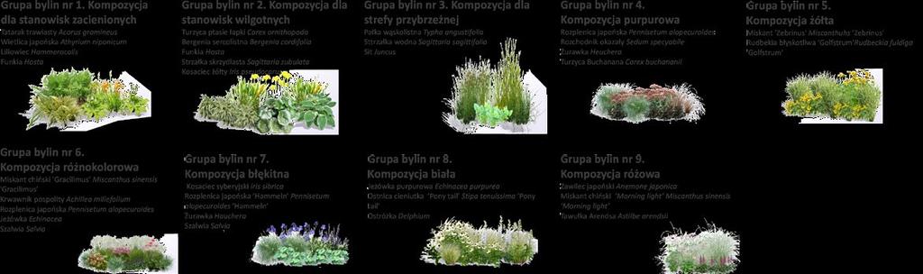 Połączenie nabrzeża ciągiem pieszo-rowerowym oraz zachowanie powiązań z obszarem Natura 2000 Zielony bulwar pomiędzy Wartą a ulicą Wał