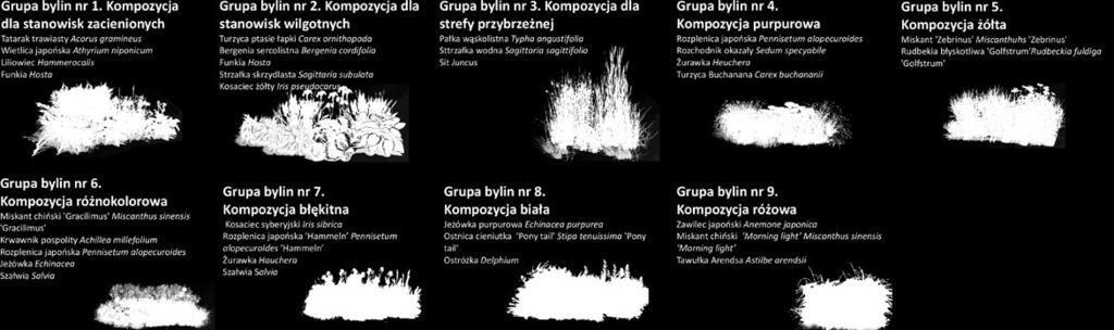 ssaków Ścieżka rowerowa wzdłuż bulwaru 10 Zachowanie naturalnego charakteru obszaru Ukształtowanie zielonego bulwaru wzdłuż Warty Wiz. 7.