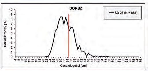 Rys. 8. Rozkład długości dorszy w zaciągach kontrolnych w 28 podobszarze ICES łotewsko-polskiego rejsu r.v. Baltica (11-19.03.