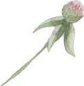99 SERIA BATERII daisy