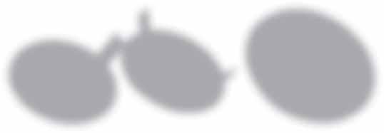 .+55 C V1 PP U70 110-130 - 160 mm 70 1