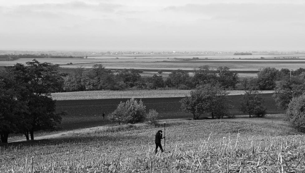 AGNIESzKA ToMAS, MARCIN JAWoRSKI Fig. 1. Sárviz River valley, Felsőkörtvélyes region, hungary. A view on one of the surveyed areas (Photo M. Stibrányi). Ryc. 1. dolina rzeki Sárviz, region Felsőkörtvélyes, Węgry.