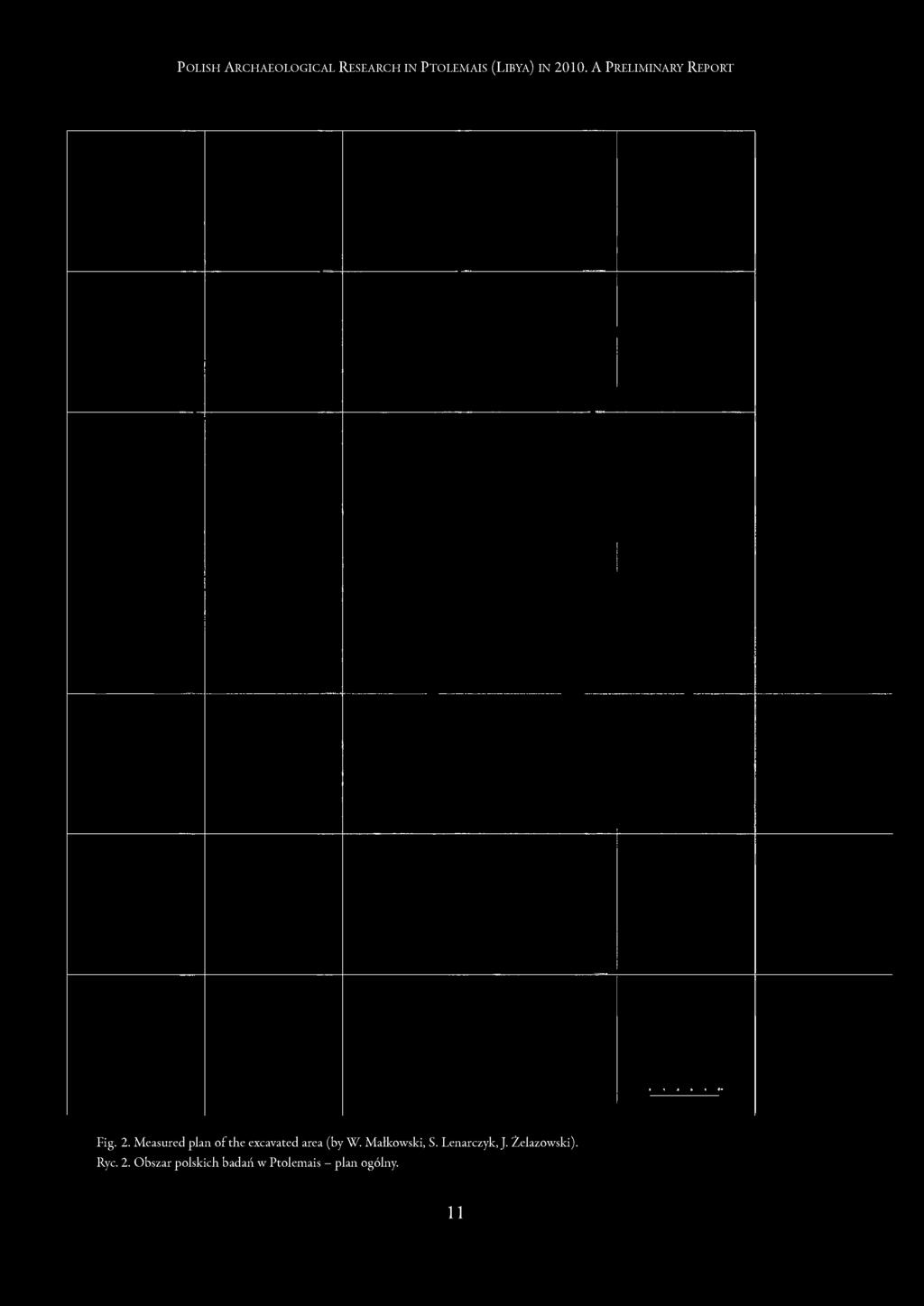 Measured plan of the excavated area (by W. Małkowski, S.