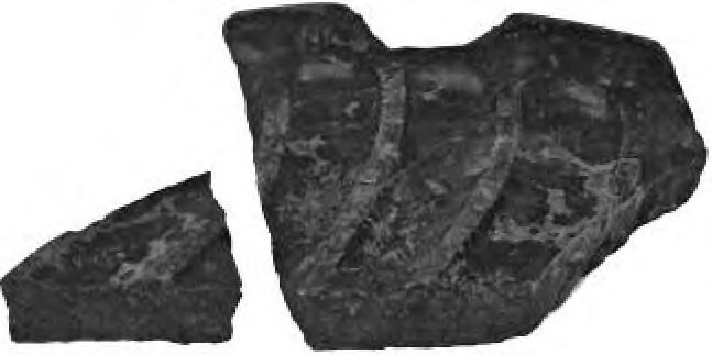 vessels (inv. No. g/211/10, Fig.