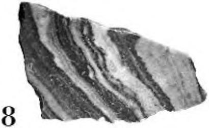 50x1.10x0.40 m) (CDFig. 3).