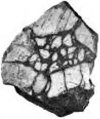 This courtyard (R 69/68) is delimited by walls: W 155 (height 29.16-29.14 m a.s.1.) (CDFig.