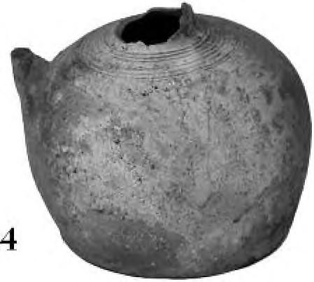 p/081/10 p/195/10 0 5 10 15 cm 1 _ I I I Fig.