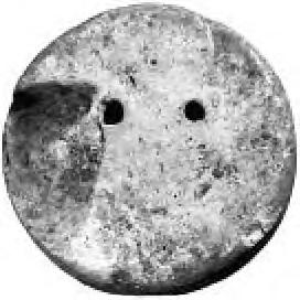 Balcerzak, elaborated by Z. Kowarska). Rye. 7.