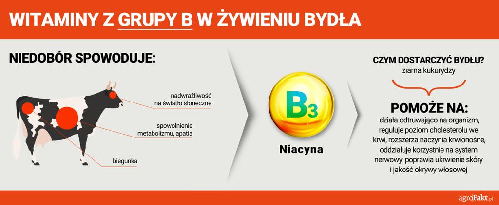 https://www. Co spowoduje niedobór witaminy B3 w żywieniu bydła i za pomocą jakich dodatków paszowych możemy ją dostarczyć zwierzętom?