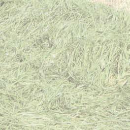 użytkowania: 4-5 lat Mieszanka traw i koniczyny czerwonej Nadaje się na gleby organiczne