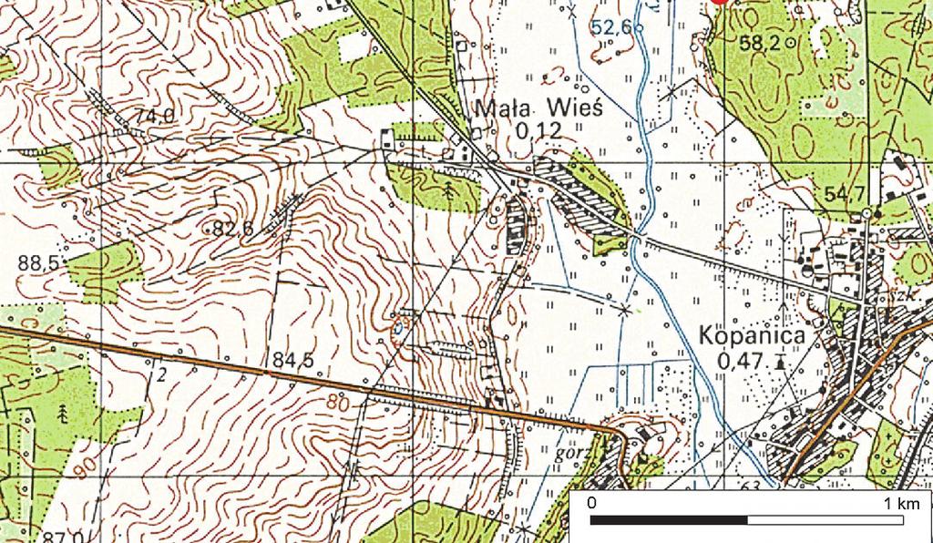 Wiktorowicz) 1 km od jej centrum, 0,8 km na północ od szosy z Kopanicy do Wąchabna i 0,23 km od dzisiejszego koryta rzeki (ryc. 1).