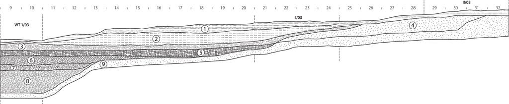 14 PRZEMYSŁAW BOBROWSKI, IWONA SOBKOWIAK-TABAKA Ryc. 4. Kopanica, stan. 29, gm. Siedlec. Profil północny wykopów WT I/03, I/03, II/03.