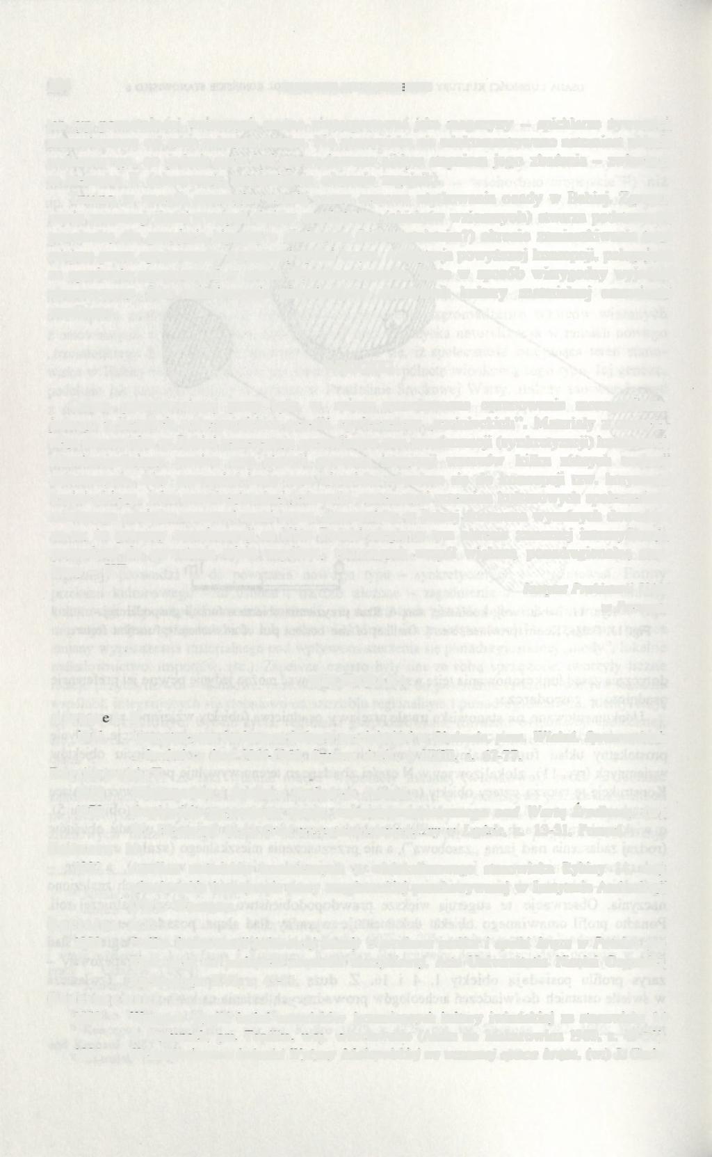 184 PRZEMYSŁAW MAKAROWICZ ten typ pozostałości wziemnych można zinterpretować jako magazyny - spichlerze żywności, zabezpieczone od góry rodzajem daszku.