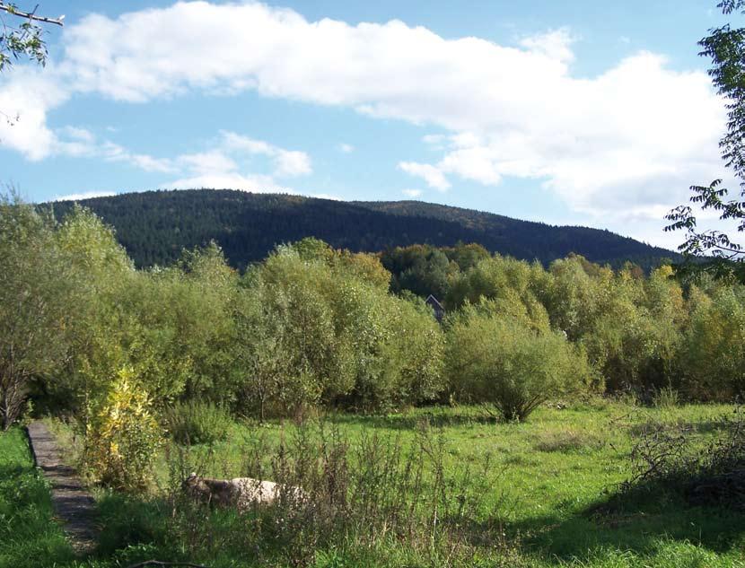 Masyw Łopienia