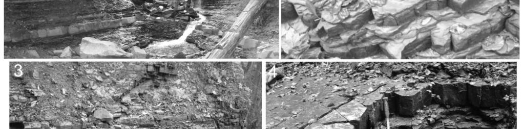 The thrust developed mainly within the ductile Upper Cretaceous variegated shales (Golonka et al., 2005; Ślączka et al., 2006). The northern limit of the nappe has an erosional character.