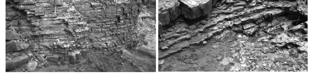 The Silesian Nappe is elevated between Zawoja and Sucha Beskidzka, forming an out-of-sequence thrust, it does not, however, reach the surface (Golonka et al., 2009, 2011; Pietsch et al., 2007).