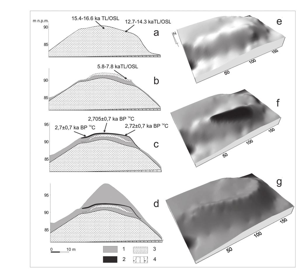 Ryc. 2. Ewolucja rzeźby Góry Świętego Wawrzyńca Budowa geologiczna: 1 piaski mułkowe nasypowe, 2 piaski mułkowe nasypowe z fragmentami węgielków drzewnych, 3 piaski eoliczne, 4 glina zawałowa.